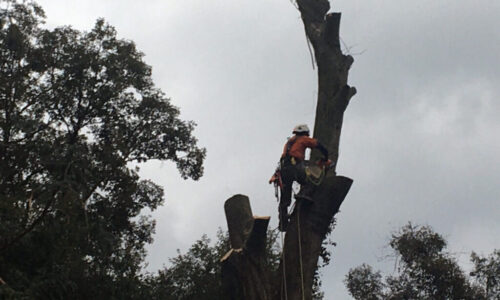 前田邸　熊本市北区植木町荻迫_210217_3